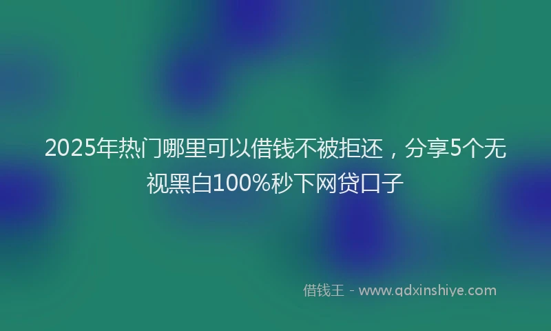2025年热门哪里可以借钱不被拒还，分享5个无视黑白100%秒下网贷口子