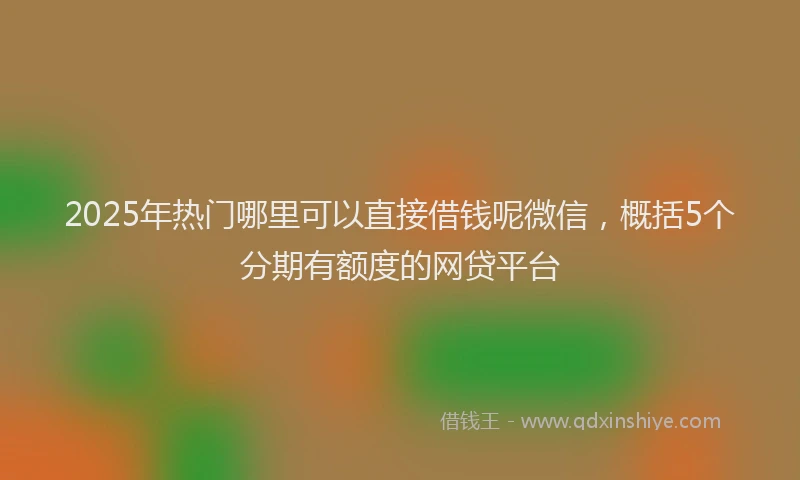 2025年热门哪里可以直接借钱呢微信，概括5个分期有额度的网贷平台