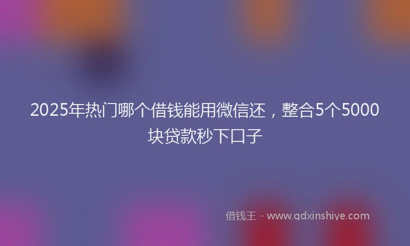 2025年热门哪个借钱能用微信还，整合5个5000块贷款秒下口子