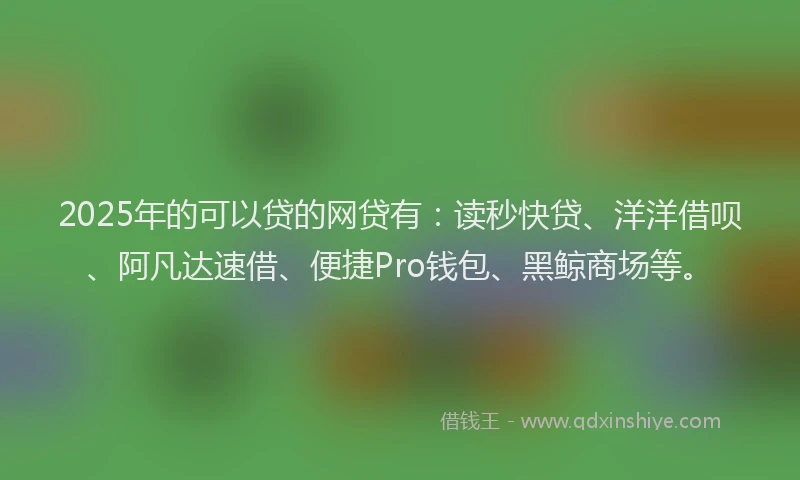 2025年的可以贷的网贷有：读秒快贷、洋洋借呗、阿凡达速借、便捷Pro钱包、黑鲸商场等。