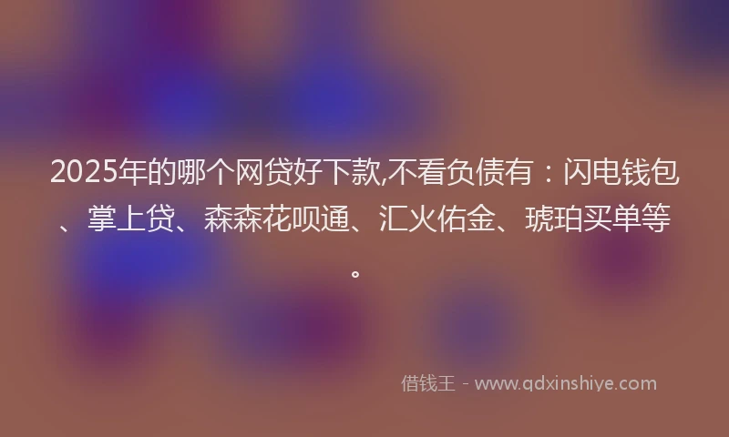 2025年的哪个网贷好下款,不看负债有：闪电钱包、掌上贷、森森花呗通、汇火佑金、琥珀买单等。
