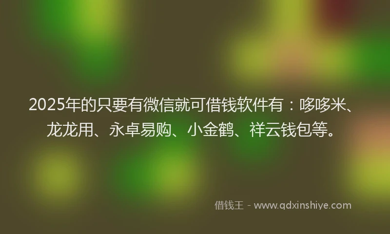 2025年的只要有微信就可借钱软件有：哆哆米、龙龙用、永卓易购、小金鹤、祥云钱包等。