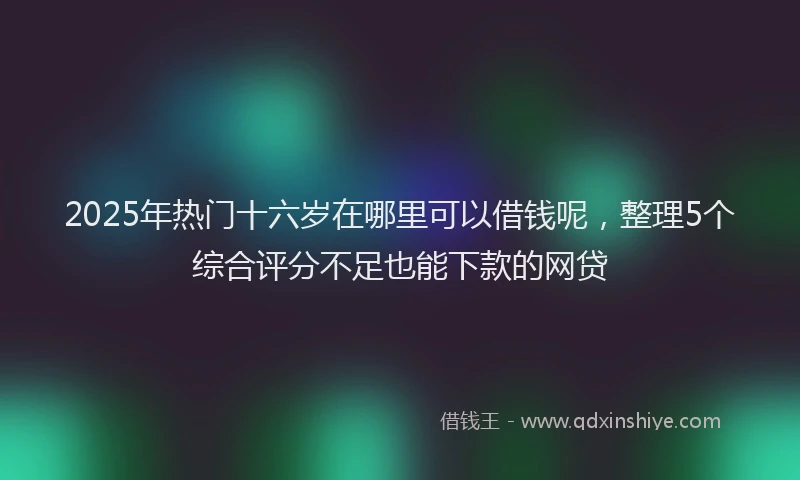 2025年热门十六岁在哪里可以借钱呢，整理5个综合评分不足也能下款的网贷