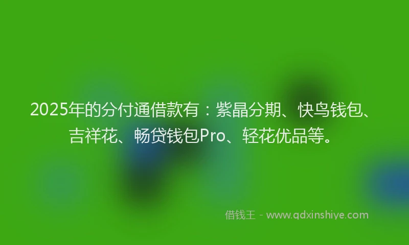 2025年的分付通借款有：紫晶分期、快鸟钱包、吉祥花、畅贷钱包Pro、轻花优品等。