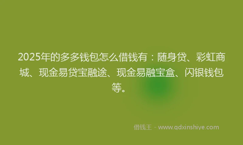 2025年的多多钱包怎么借钱有：随身贷、彩虹商城、现金易贷宝融途、现金易融宝盒、闪银钱包等。