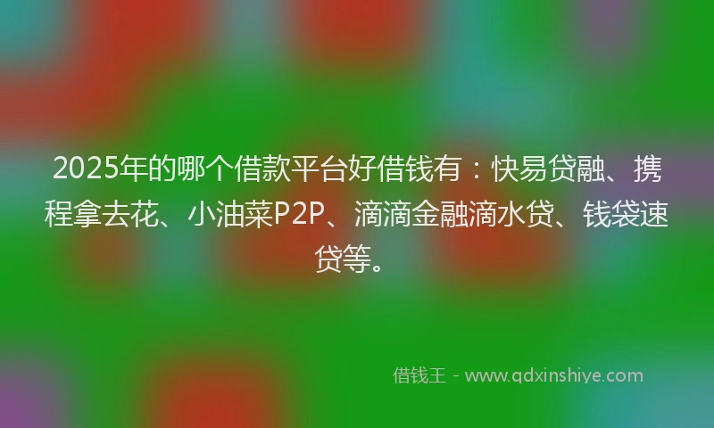 2025年的哪个借款平台好借钱有：快易贷融、携程拿去花、小油菜P2P、滴滴金融滴水贷、钱袋速贷等。