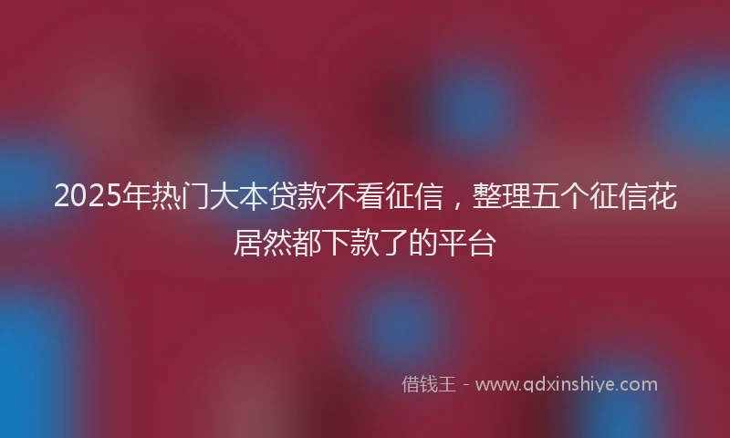 2025年热门大本贷款不看征信，整理五个征信花居然都下款了的平台