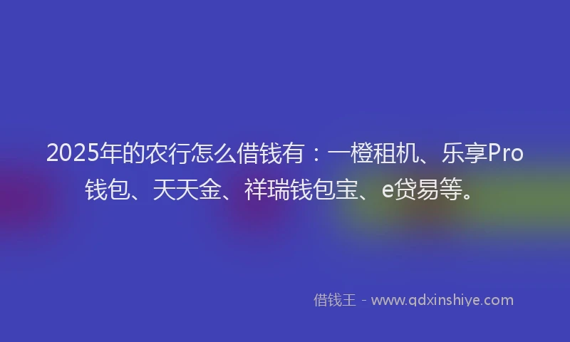 2025年的农行怎么借钱有：一橙租机、乐享Pro钱包、天天金、祥瑞钱包宝、e贷易等。