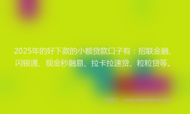 2025年的好下款的小额贷款口子有：招联金融、闪银通、现金秒融易、拉卡拉速贷、粒粒贷等。