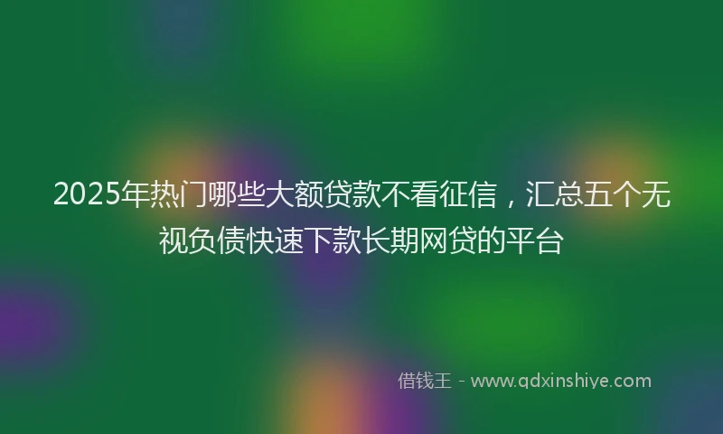 2025年热门哪些大额贷款不看征信，汇总五个无视负债快速下款长期网贷的平台