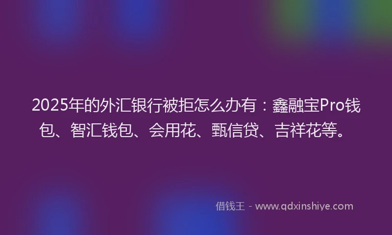 2025年的外汇银行被拒怎么办有：鑫融宝Pro钱包、智汇钱包、会用花、甄信贷、吉祥花等。