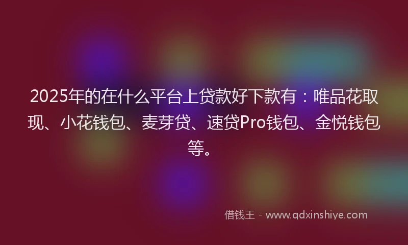 2025年的在什么平台上贷款好下款有：唯品花取现、小花钱包、麦芽贷、速贷Pro钱包、金悦钱包等。