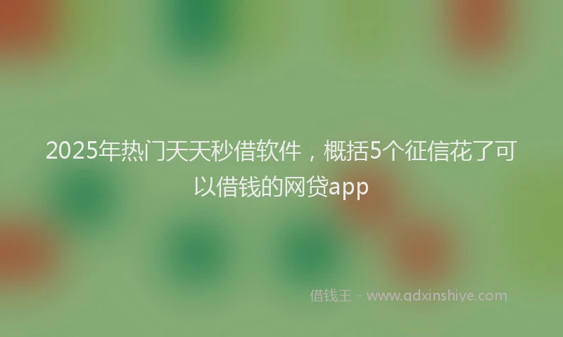 2025年热门天天秒借软件，概括5个征信花了可以借钱的网贷app