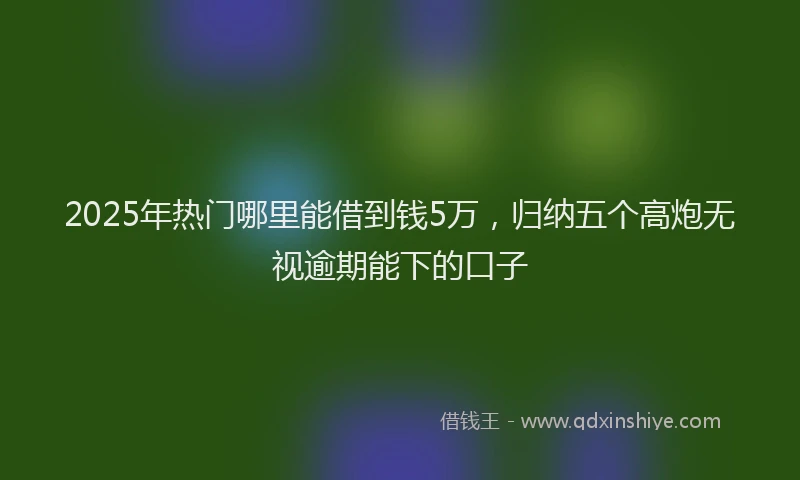 2025年热门哪里能借到钱5万，归纳五个高炮无视逾期能下的口子