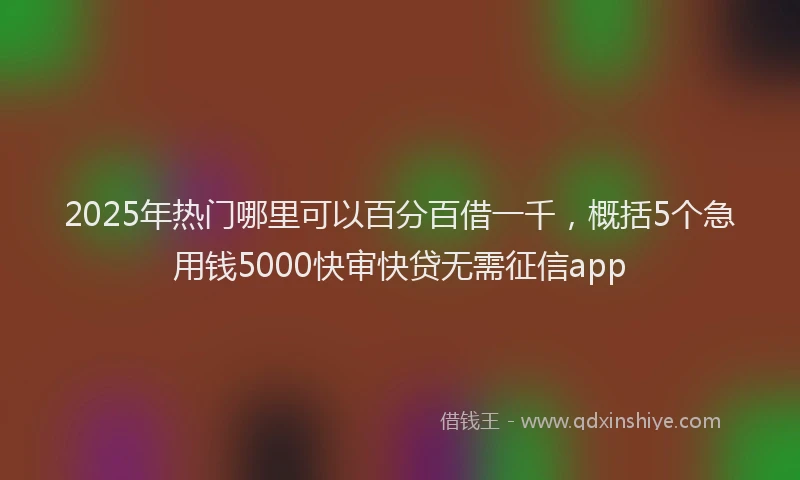2025年热门哪里可以百分百借一千，概括5个急用钱5000快审快贷无需征信app