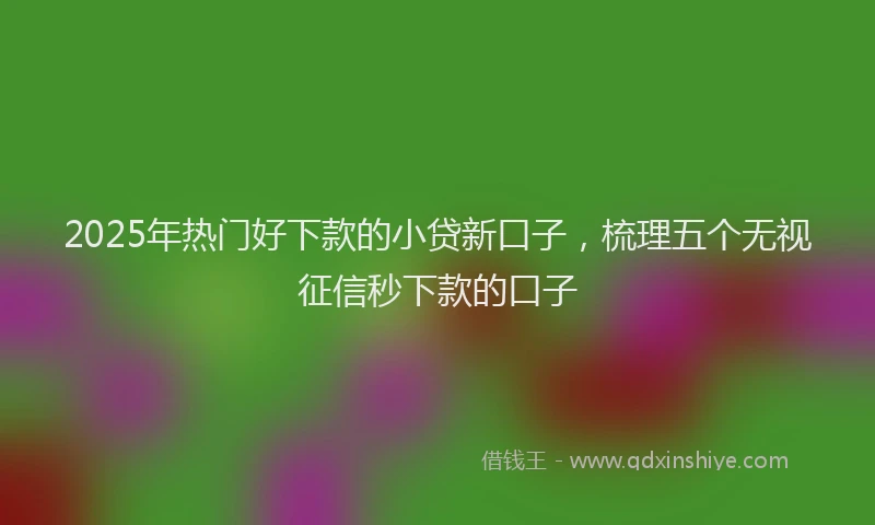 2025年热门好下款的小贷新口子，梳理五个无视征信秒下款的口子