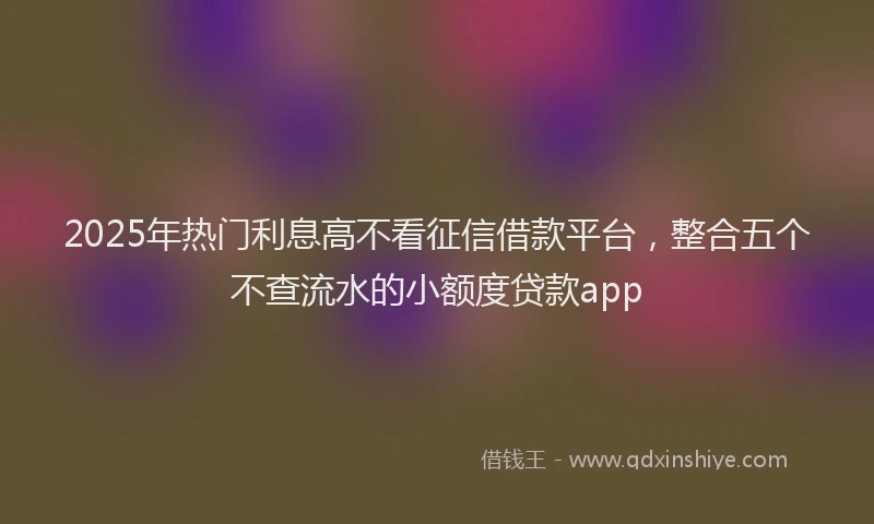 2025年热门利息高不看征信借款平台，整合五个不查流水的小额度贷款app