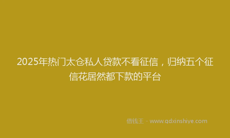 2025年热门太仓私人贷款不看征信，归纳五个征信花居然都下款的平台