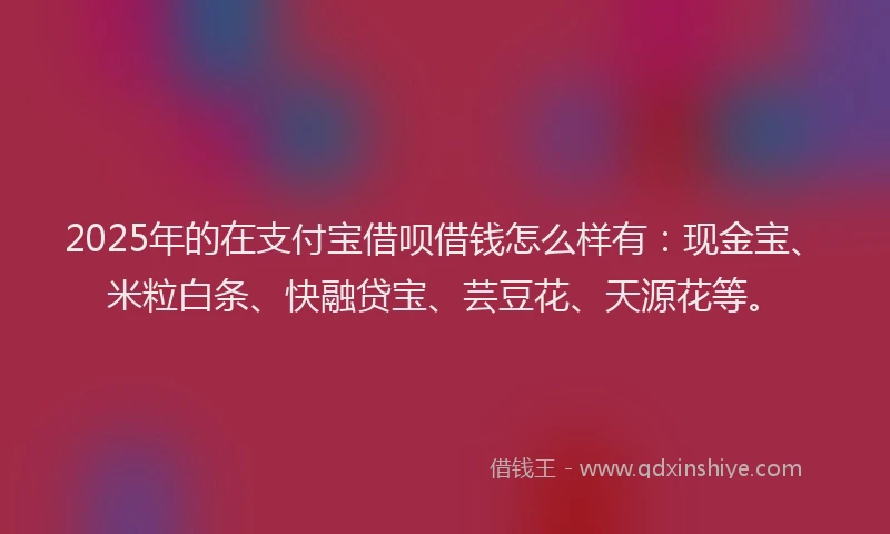 2025年的在支付宝借呗借钱怎么样有：现金宝、米粒白条、快融贷宝、芸豆花、天源花等。