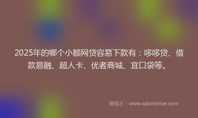 2025年的哪个小额网贷容易下款有：哆哆贷、借款易融、超人卡、优者商城、宜口袋等。