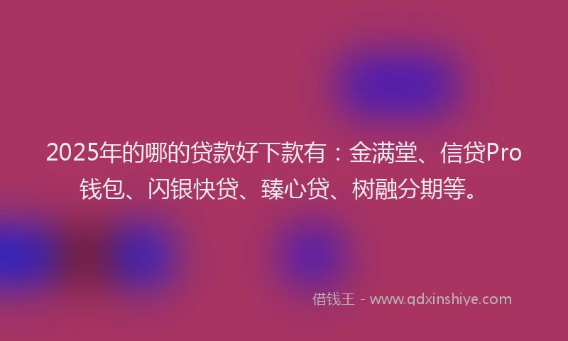 2025年的哪的贷款好下款有：金满堂、信贷Pro钱包、闪银快贷、臻心贷、树融分期等。