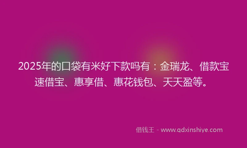 2025年的口袋有米好下款吗有：金瑞龙、借款宝速借宝、惠享借、惠花钱包、天天盈等。