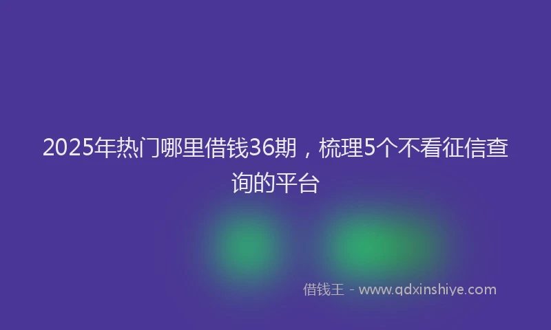 2025年热门哪里借钱36期，梳理5个不看征信查询的平台