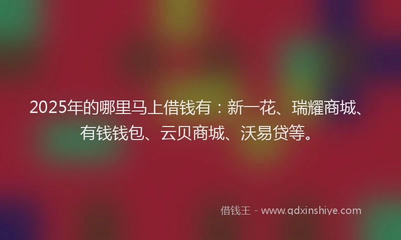 2025年的哪里马上借钱有:新一花、瑞耀商城、有钱钱包、云贝商城、沃易贷等。