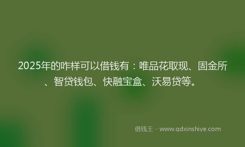 2025年的咋样可以借钱有：唯品花取现、固金所、智贷钱包、快融宝盒、沃易贷等。