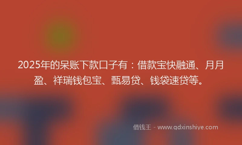 2025年的呆账下款口子有：借款宝快融通、月月盈、祥瑞钱包宝、甄易贷、钱袋速贷等。