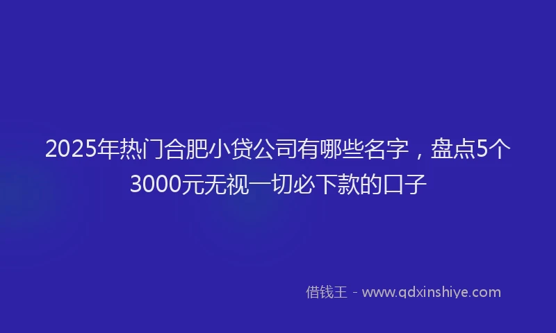 2025年热门合肥小贷公司有哪些名字，盘点5个3000元无视一切必下款的口子