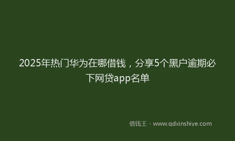 2025年热门华为在哪借钱，分享5个黑户逾期必下网贷app名单