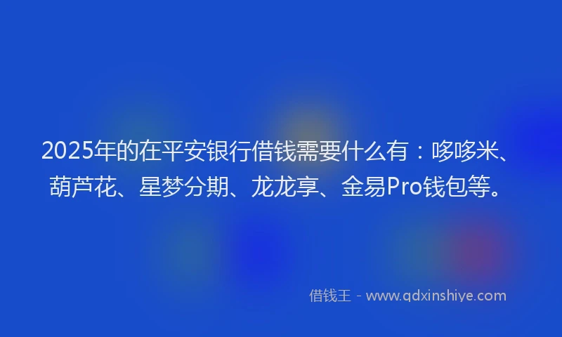 2025年的在平安银行借钱需要什么有：哆哆米、葫芦花、星梦分期、龙龙享、金易Pro钱包等。