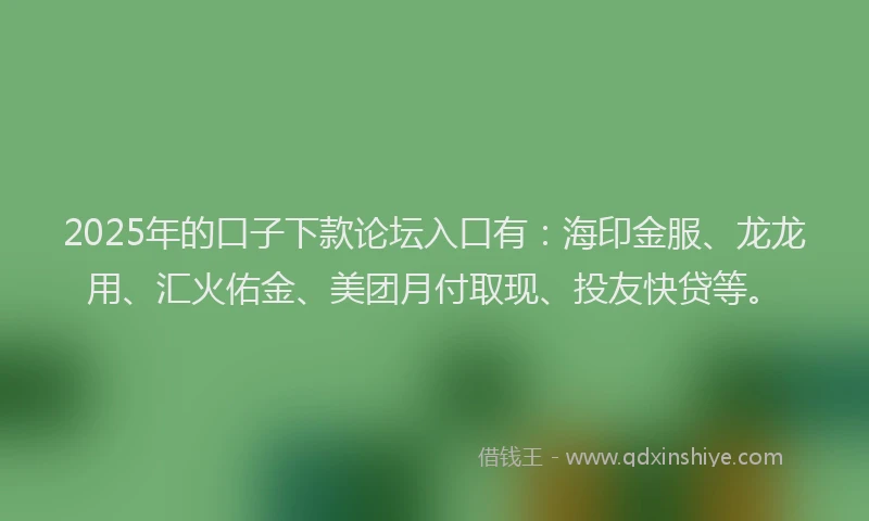 2025年的口子下款论坛入口有：海印金服、龙龙用、汇火佑金、美团月付取现、投友快贷等。