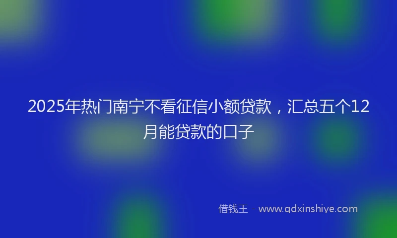 2025年热门南宁不看征信小额贷款，汇总五个12月能贷款的口子