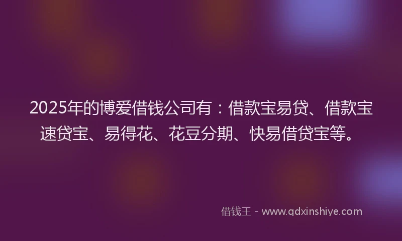 2025年的博爱借钱公司有：借款宝易贷、借款宝速贷宝、易得花、花豆分期、快易借贷宝等。