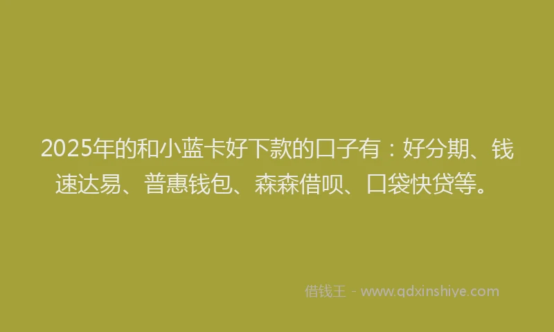 2025年的和小蓝卡好下款的口子有：好分期、钱速达易、普惠钱包、森森借呗、口袋快贷等。