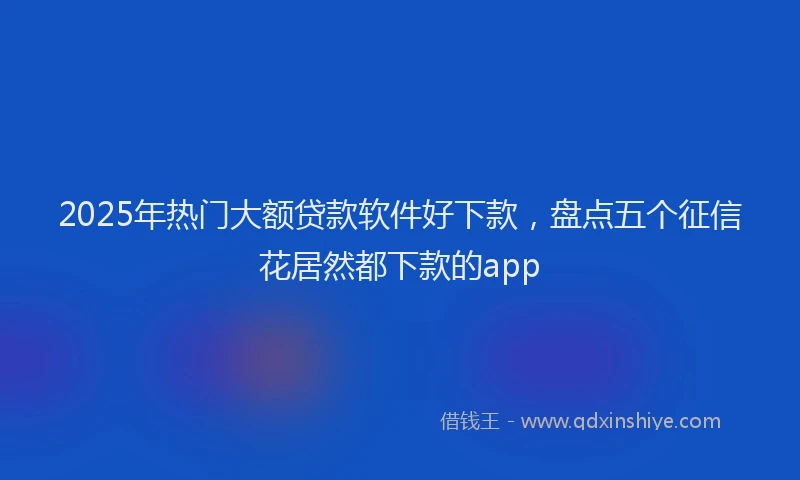 2025年热门大额贷款软件好下款，盘点五个征信花居然都下款的app