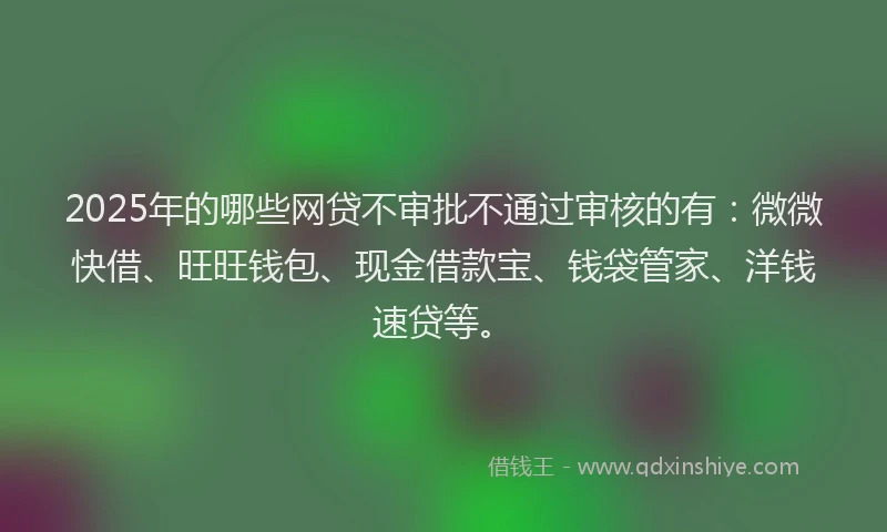2025年的哪些网贷不审批不通过审核的有：微微快借、旺旺钱包、现金借款宝、钱袋管家、洋钱速贷等。