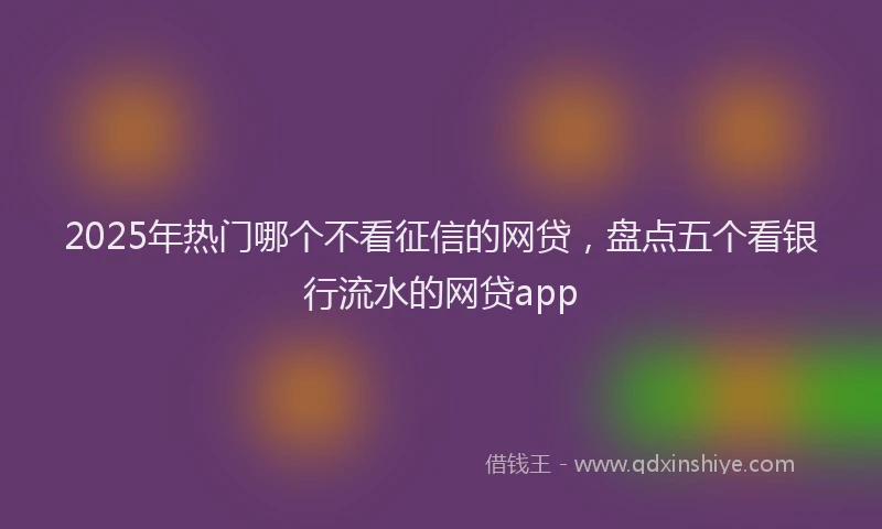 2025年热门哪个不看征信的网贷，盘点五个看银行流水的网贷app