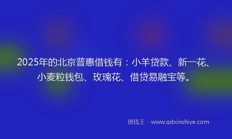 2025年的北京普惠借钱有：小羊贷款、新一花、小麦粒钱包、玫瑰花、借贷易融宝等。
