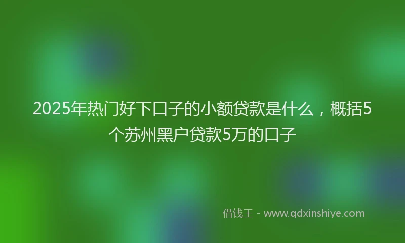2025年热门好下口子的小额贷款是什么，概括5个苏州黑户贷款5万的口子