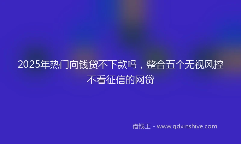 2025年热门向钱贷不下款吗，整合五个无视风控不看征信的网贷