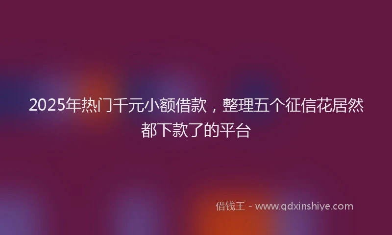 2025年热门千元小额借款，整理五个征信花居然都下款了的平台
