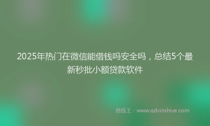 2025年热门在微信能借钱吗安全吗，总结5个最新秒批小额贷款软件