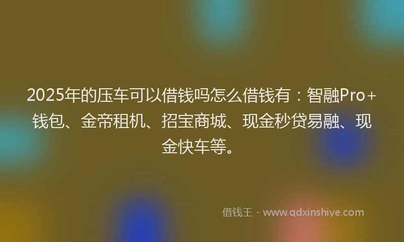 2025年的压车可以借钱吗怎么借钱有：智融Pro+钱包、金帝租机、招宝商城、现金秒贷易融、现金快车等。