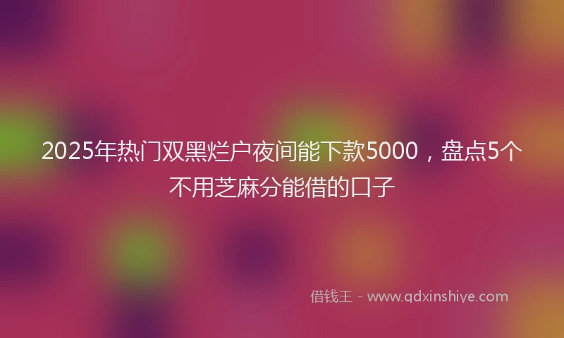 2025年热门双黑烂户夜间能下款5000，盘点5个不用芝麻分能借的口子