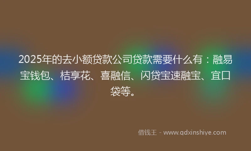 2025年的去小额贷款公司贷款需要什么有：融易宝钱包、桔享花、喜融信、闪贷宝速融宝、宜口袋等。