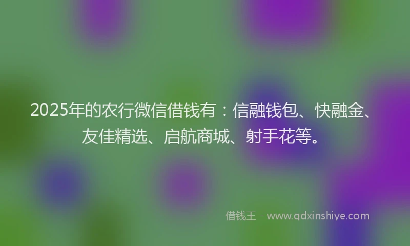 2025年的农行微信借钱有：信融钱包、快融金、友佳精选、启航商城、射手花等。