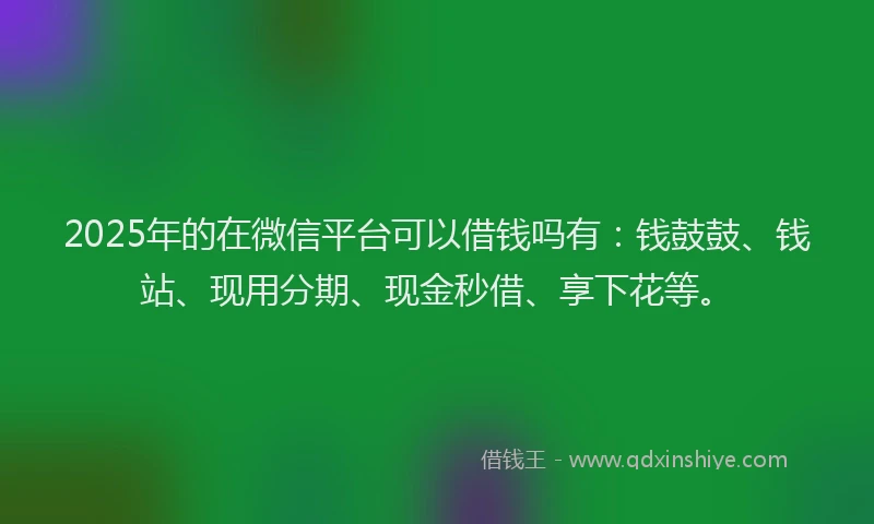 2025年的在微信平台可以借钱吗有：钱鼓鼓、钱站、现用分期、现金秒借、享下花等。
